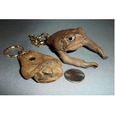 Cane Toad Head Key Ring
