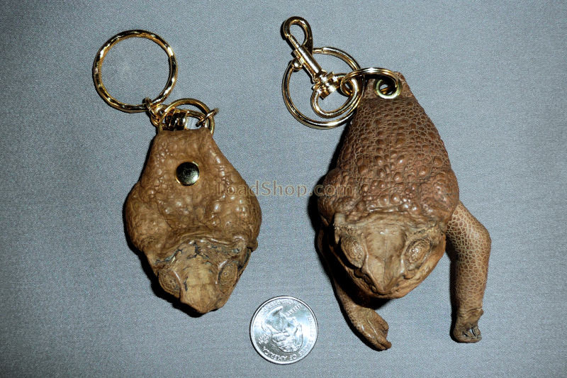 Toad Key Ring