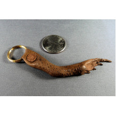 Cane Toad Foot Charm Cane Toad Foot Charm