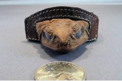Cane Toad Hat Band