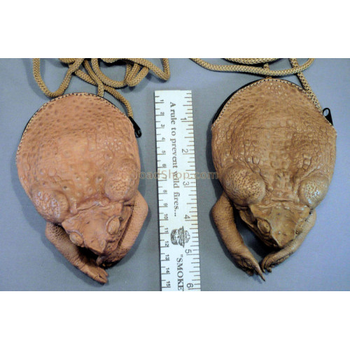 Cane Toad Purse (a must-have souvenir from Australia) :  r/ofcoursethatsathing