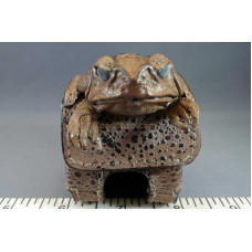 Cane Toad Golf Ball Case