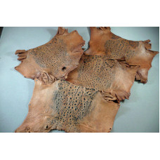 Cane Toad Skins